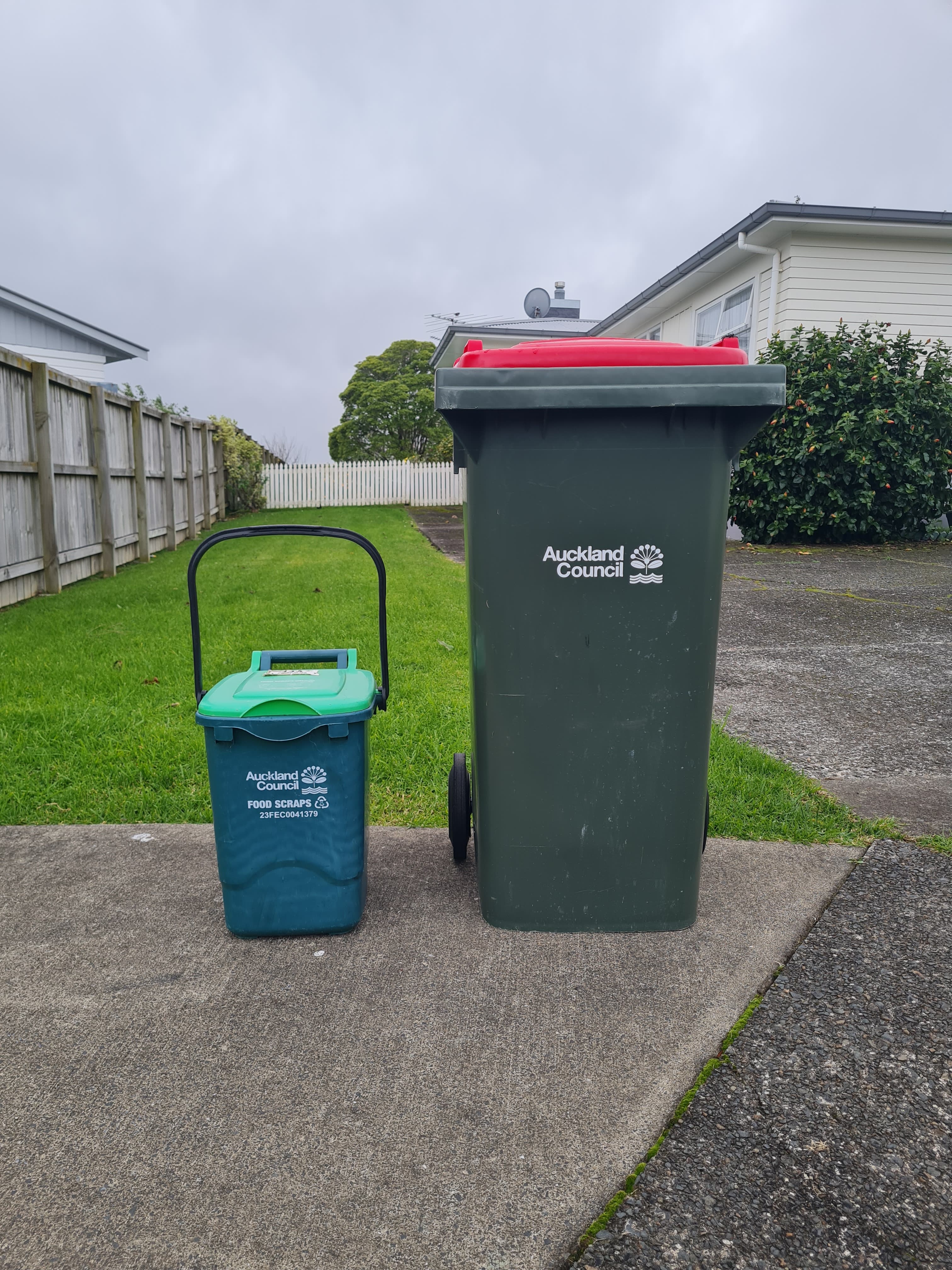 The Food Scraps Bin Project